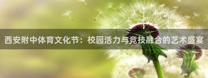 西安附中体育文化节：校园活力与竞技融合的艺术盛宴