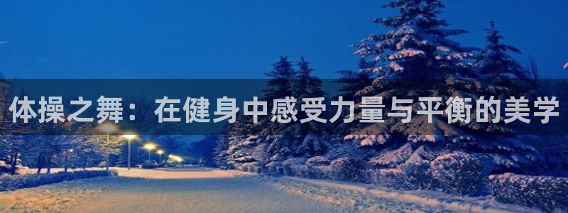 体操之舞：在健身中感受力量与平衡的美学