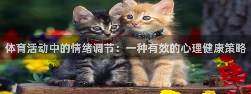 体育活动中的情绪调节：一种有效的心理健康策略