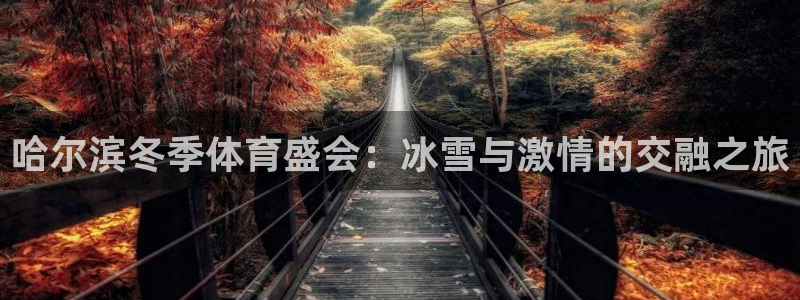 哈尔滨冬季体育盛会：冰雪与激情的交融之旅